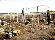 The first Salad Tunnel in April 2004