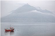 'Red boat' David McHutchison