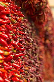'Chilli' Kyla Orr