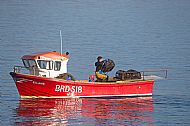 'Hauling in the creels' Rob Ware
