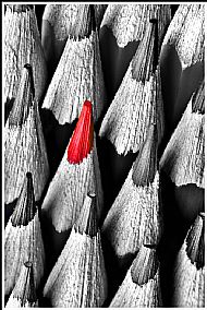 'Pencils' Simon Larson