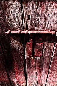 'Red Door' Kyla Orr