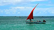 'Red boat' Janet Macleod