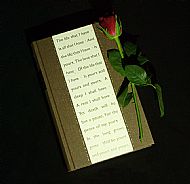 'Violette Szabo' Olenka Beal
