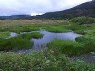 Pools and saltpans