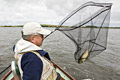 loch eye boat fishing roger dowsett and stan headley, netted trout