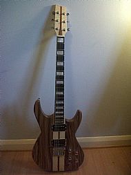 Electric Guitar