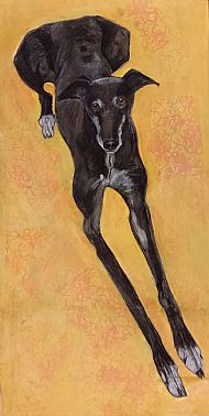 Zak 
