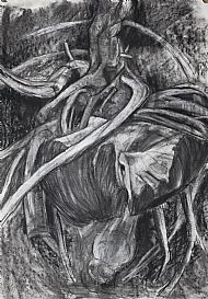 Mushroom and Root