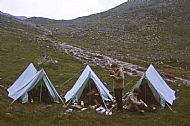 High Camp 1968