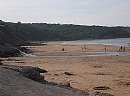 Beach at Cayton Bay