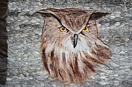 Eagle Owl Portrait