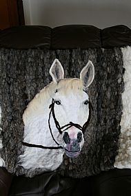 Felted Horse Portrait