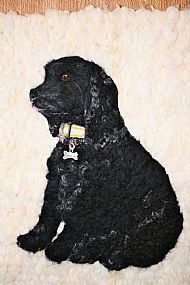 Cocker Spaniel Felt Portrait