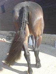 plaiting