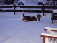 BOOTS IN THE SNOW