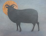 Black Sheep with a Halo