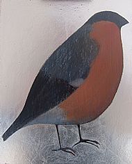 Bull Finch