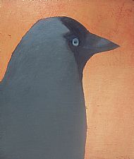 Jackdaw II