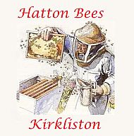 Hatton Bees