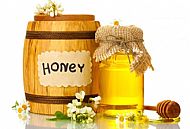 Hatton Bees Honey for sale.