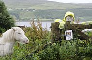 Skye Summer Visitors 