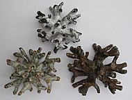 Branching Form I,II,III