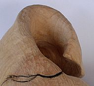 Curving Form