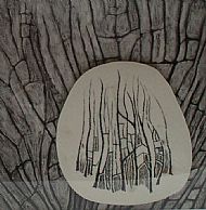 Staghead Fern