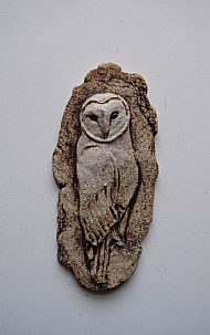 Barn Owl