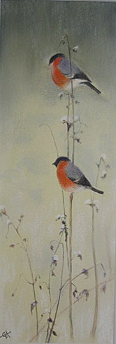 Bullfinches 