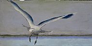   About to land