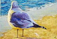 looking out to sea