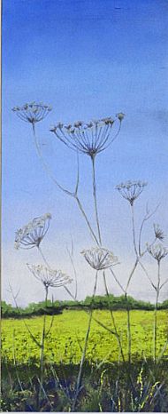 cow parsley summer