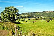 Friarton Bridge