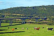 Friarton Bridge