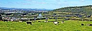 Friarton Bridge