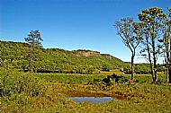 Willowgate Wildlife Ponds