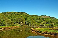 Willowgate Wildlife Ponds