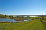 Willowgate Wildlife Ponds