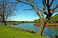 Willowgate Wildlife Ponds