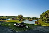 Willowgate Wildlife Ponds
