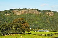 Kinnoull Hill