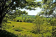 Friarton Bridge