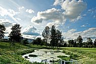 Wildlife Pond