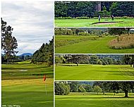 Golf Course