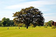 Golf Course
