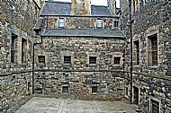 Courtyard for a pet Lion