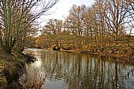 River Almond
