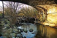 River Almond